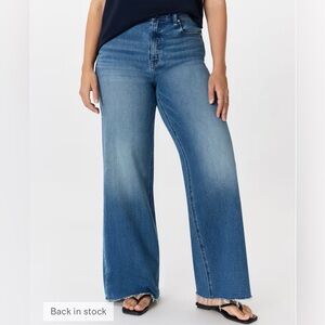 Quince Bella wide leg stretch twilight blue fray